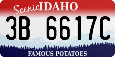 ID license plate 3B6617C