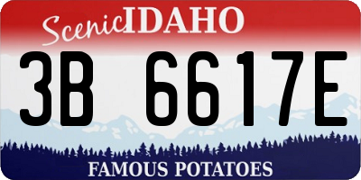ID license plate 3B6617E