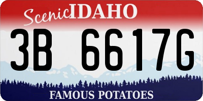 ID license plate 3B6617G