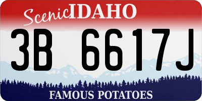 ID license plate 3B6617J