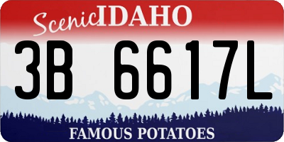 ID license plate 3B6617L