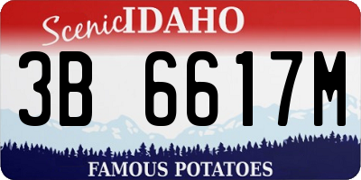 ID license plate 3B6617M