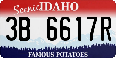 ID license plate 3B6617R