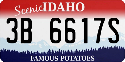 ID license plate 3B6617S