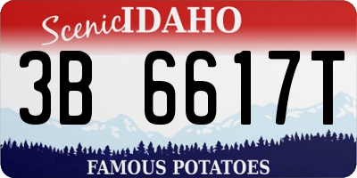 ID license plate 3B6617T