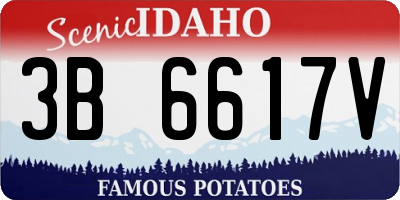 ID license plate 3B6617V