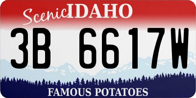 ID license plate 3B6617W