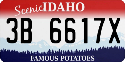 ID license plate 3B6617X