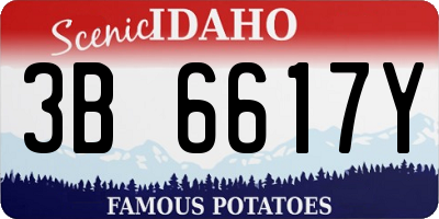 ID license plate 3B6617Y