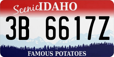 ID license plate 3B6617Z