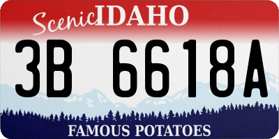 ID license plate 3B6618A