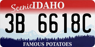 ID license plate 3B6618C