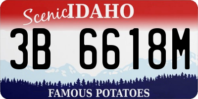 ID license plate 3B6618M