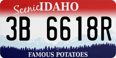 ID license plate 3B6618R