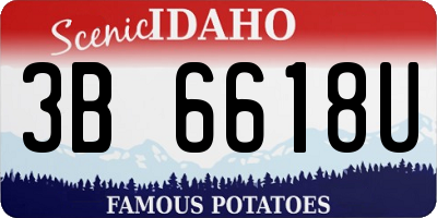 ID license plate 3B6618U