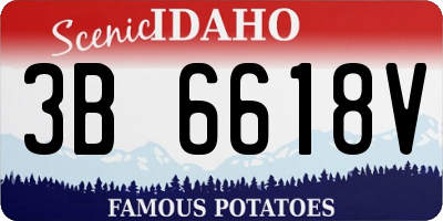 ID license plate 3B6618V