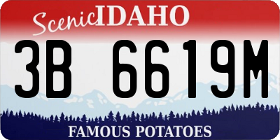 ID license plate 3B6619M