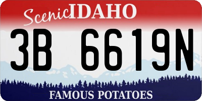 ID license plate 3B6619N