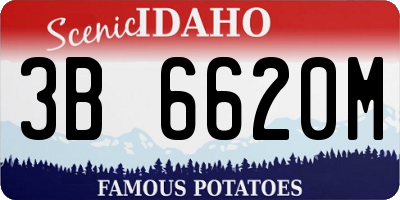 ID license plate 3B6620M