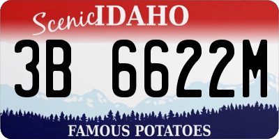 ID license plate 3B6622M