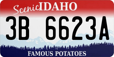 ID license plate 3B6623A