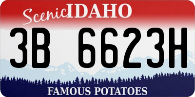 ID license plate 3B6623H