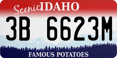 ID license plate 3B6623M