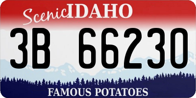 ID license plate 3B6623O