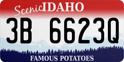 ID license plate 3B6623Q