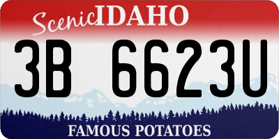 ID license plate 3B6623U