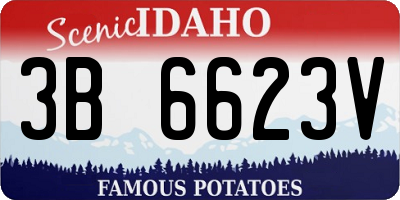 ID license plate 3B6623V