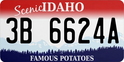 ID license plate 3B6624A