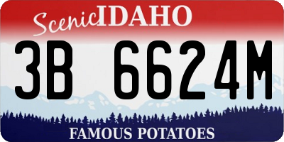ID license plate 3B6624M