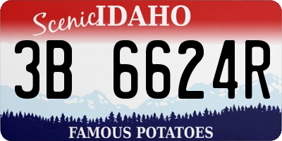 ID license plate 3B6624R