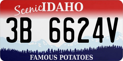 ID license plate 3B6624V