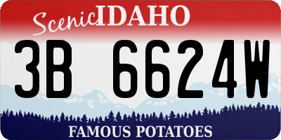 ID license plate 3B6624W