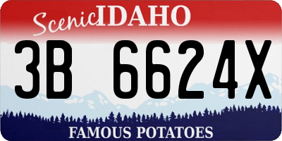 ID license plate 3B6624X