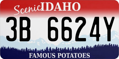 ID license plate 3B6624Y