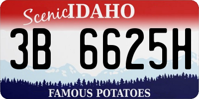 ID license plate 3B6625H