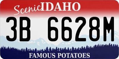 ID license plate 3B6628M