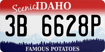 ID license plate 3B6628P