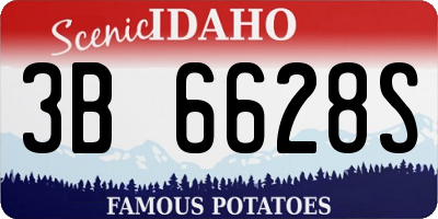 ID license plate 3B6628S