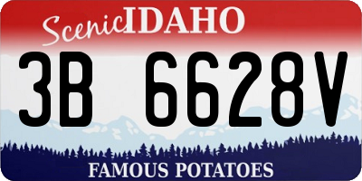 ID license plate 3B6628V