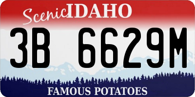 ID license plate 3B6629M
