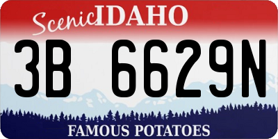 ID license plate 3B6629N