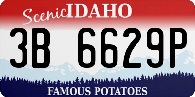ID license plate 3B6629P