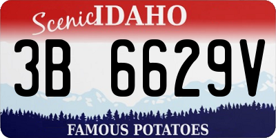 ID license plate 3B6629V