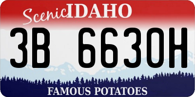 ID license plate 3B6630H