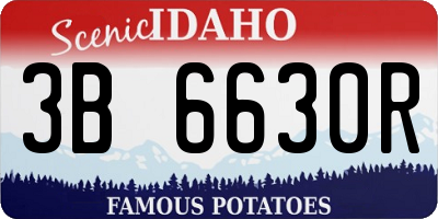 ID license plate 3B6630R
