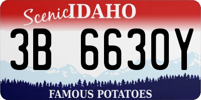 ID license plate 3B6630Y